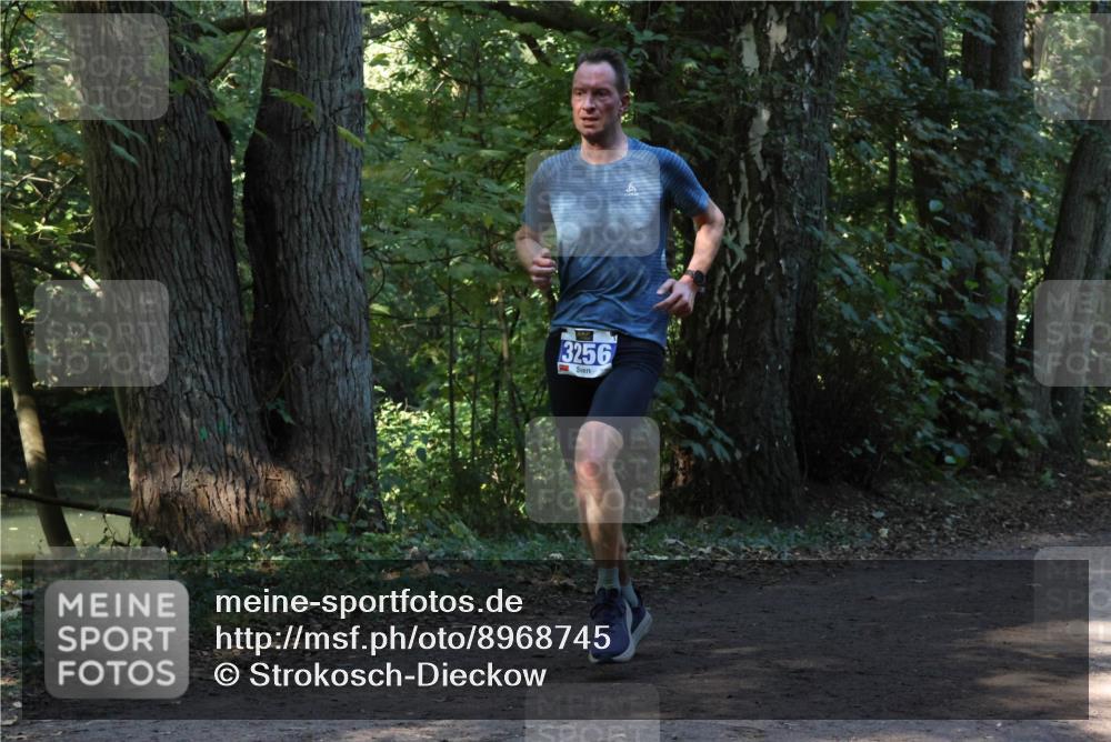 28.09.2025 - 33. Volkslauf durch das schöne Alstertal Strokosch-Dieckow http://msf.ph/oto/8968745 28.09.2025 11:14:24 Laufen 3256 meine-sportfotos.de