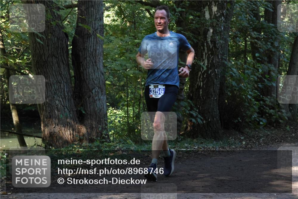 28.09.2025 - 33. Volkslauf durch das schöne Alstertal Strokosch-Dieckow http://msf.ph/oto/8968746 28.09.2025 11:14:24 Laufen 3256 meine-sportfotos.de