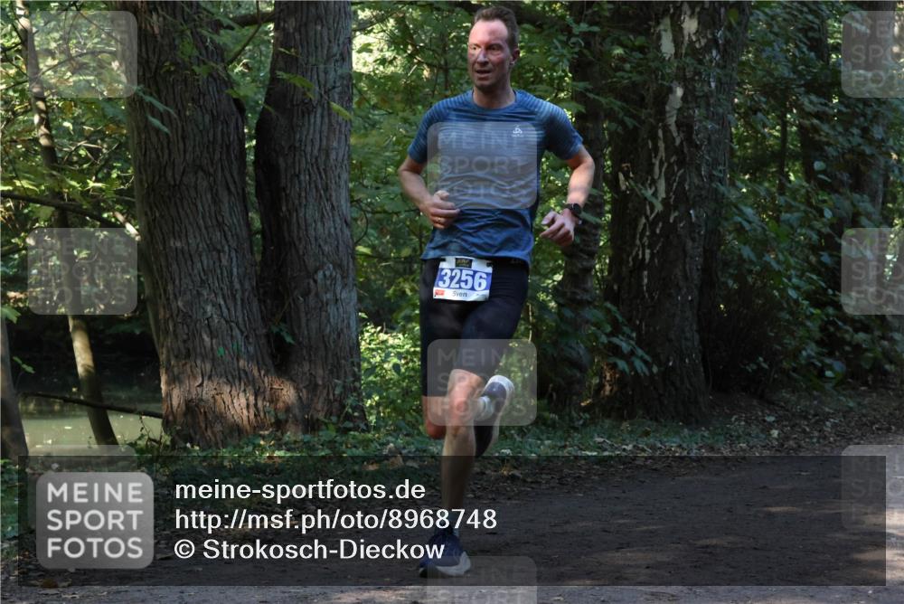 28.09.2025 - 33. Volkslauf durch das schöne Alstertal Strokosch-Dieckow http://msf.ph/oto/8968748 28.09.2025 11:14:24 Laufen 3256 meine-sportfotos.de