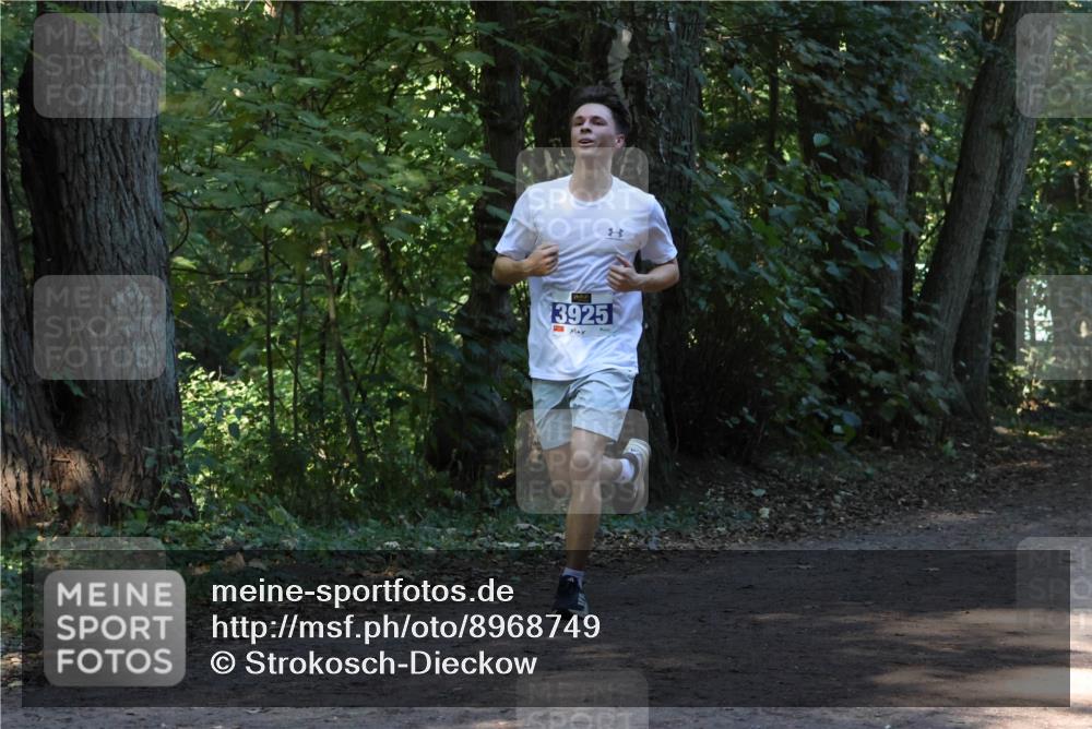 28.09.2025 - 33. Volkslauf durch das schöne Alstertal Strokosch-Dieckow http://msf.ph/oto/8968749 28.09.2025 11:14:38 Laufen 3925 meine-sportfotos.de