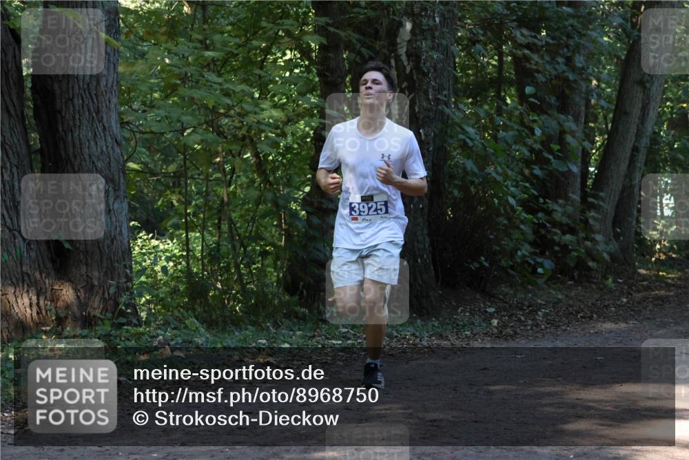 28.09.2025 - 33. Volkslauf durch das schöne Alstertal Strokosch-Dieckow http://msf.ph/oto/8968750 28.09.2025 11:14:38 Laufen 3925 meine-sportfotos.de