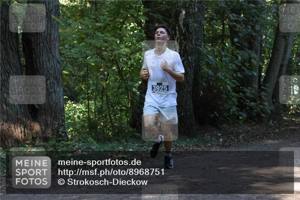 28.09.2025 - 33. Volkslauf durch das schöne Alstertal Strokosch-Dieckow http://msf.ph/oto/8968751 28.09.2025 11:14:38 Laufen 3925 meine-sportfotos.de
