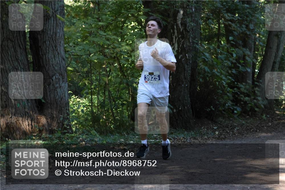 28.09.2025 - 33. Volkslauf durch das schöne Alstertal Strokosch-Dieckow http://msf.ph/oto/8968752 28.09.2025 11:14:38 Laufen 3925 meine-sportfotos.de