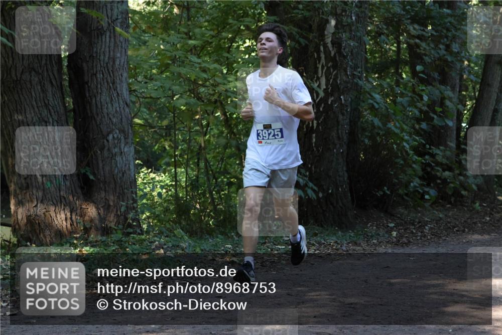 28.09.2025 - 33. Volkslauf durch das schöne Alstertal Strokosch-Dieckow http://msf.ph/oto/8968753 28.09.2025 11:14:38 Laufen 3925 meine-sportfotos.de