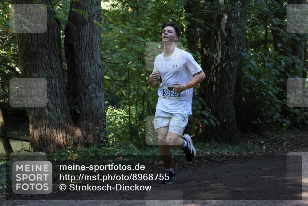 28.09.2025 - 33. Volkslauf durch das schöne Alstertal Strokosch-Dieckow http://msf.ph/oto/8968755 28.09.2025 11:14:38 Laufen 3925 meine-sportfotos.de