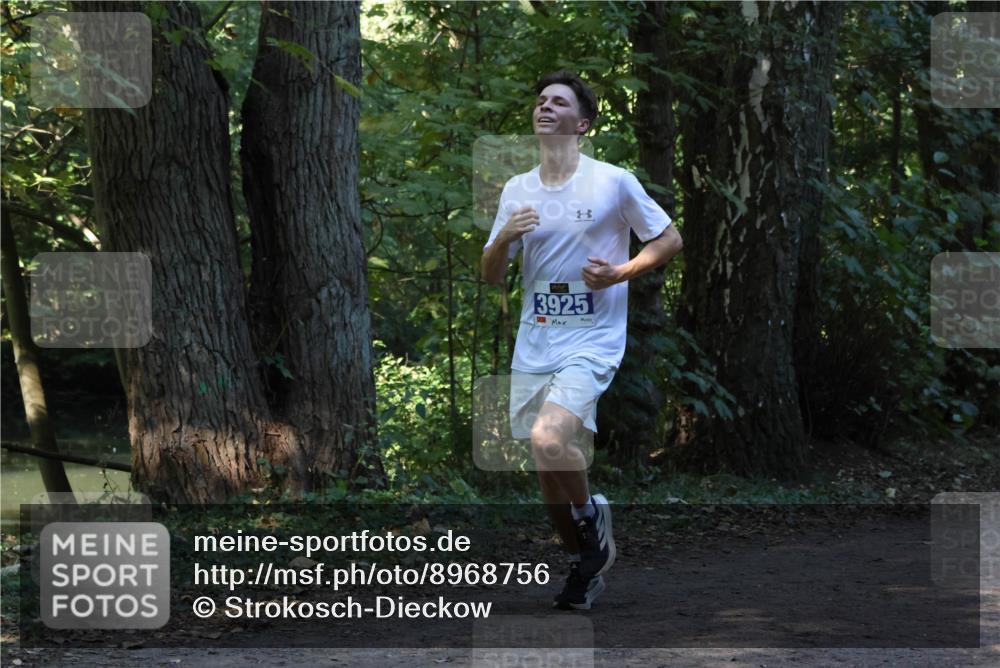 28.09.2025 - 33. Volkslauf durch das schöne Alstertal Strokosch-Dieckow http://msf.ph/oto/8968756 28.09.2025 11:14:38 Laufen 3925 meine-sportfotos.de