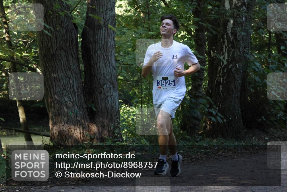 28.09.2025 - 33. Volkslauf durch das schöne Alstertal Strokosch-Dieckow http://msf.ph/oto/8968757 28.09.2025 11:14:38 Laufen 3925 meine-sportfotos.de