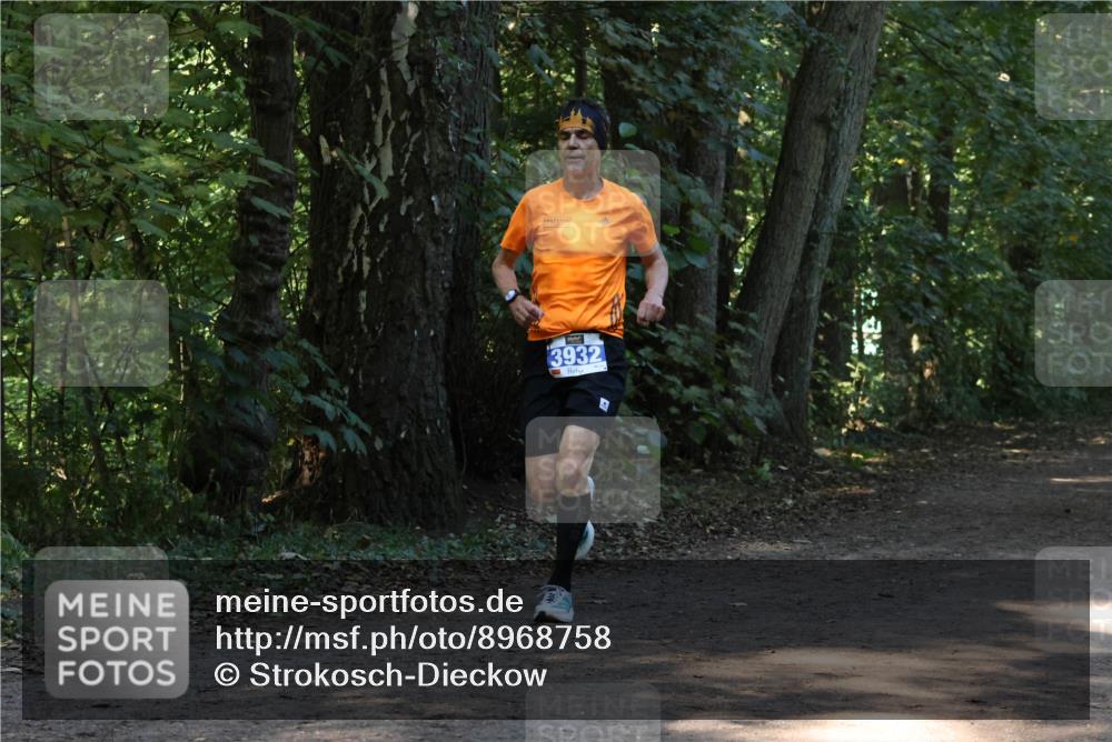28.09.2025 - 33. Volkslauf durch das schöne Alstertal Strokosch-Dieckow http://msf.ph/oto/8968758 28.09.2025 11:14:49 Laufen 3932 meine-sportfotos.de