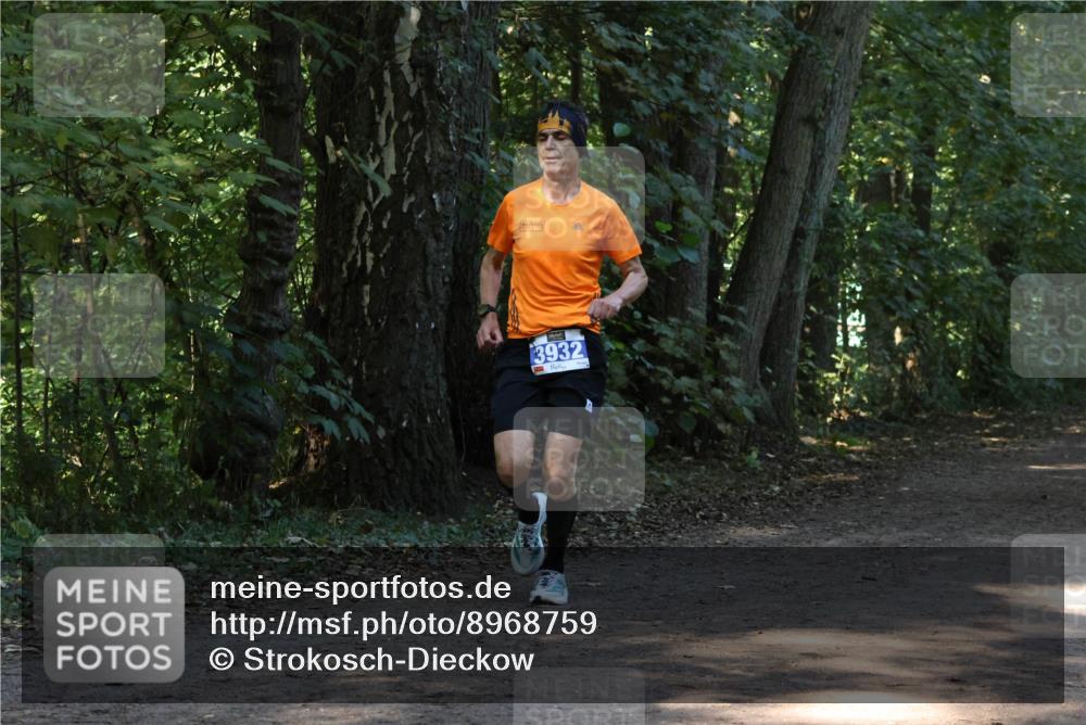28.09.2025 - 33. Volkslauf durch das schöne Alstertal Strokosch-Dieckow http://msf.ph/oto/8968759 28.09.2025 11:14:49 Laufen 3932 meine-sportfotos.de