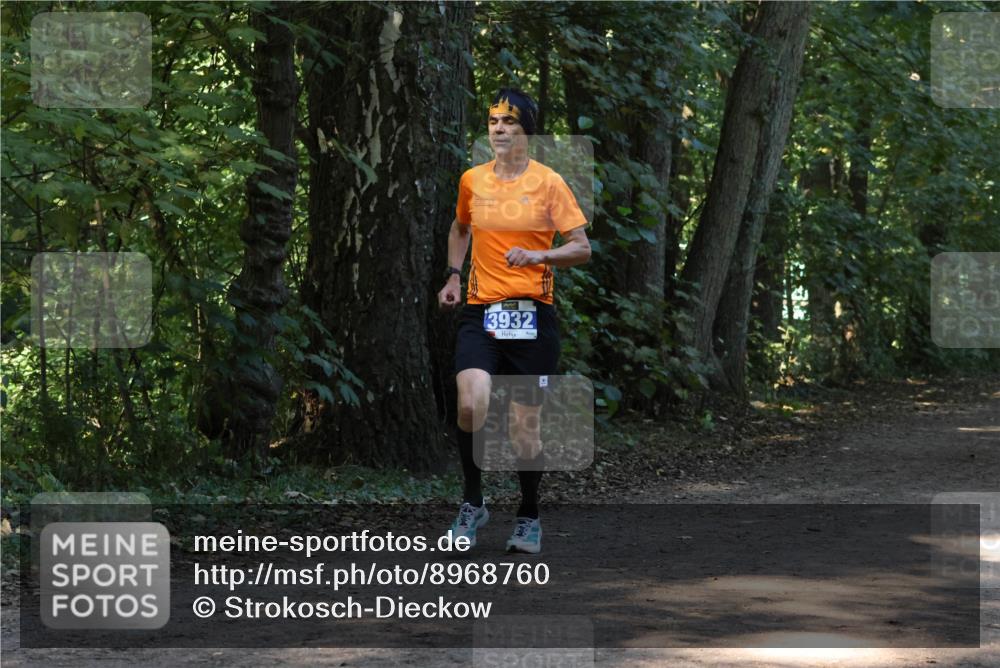 28.09.2025 - 33. Volkslauf durch das schöne Alstertal Strokosch-Dieckow http://msf.ph/oto/8968760 28.09.2025 11:14:49 Laufen 3932 meine-sportfotos.de