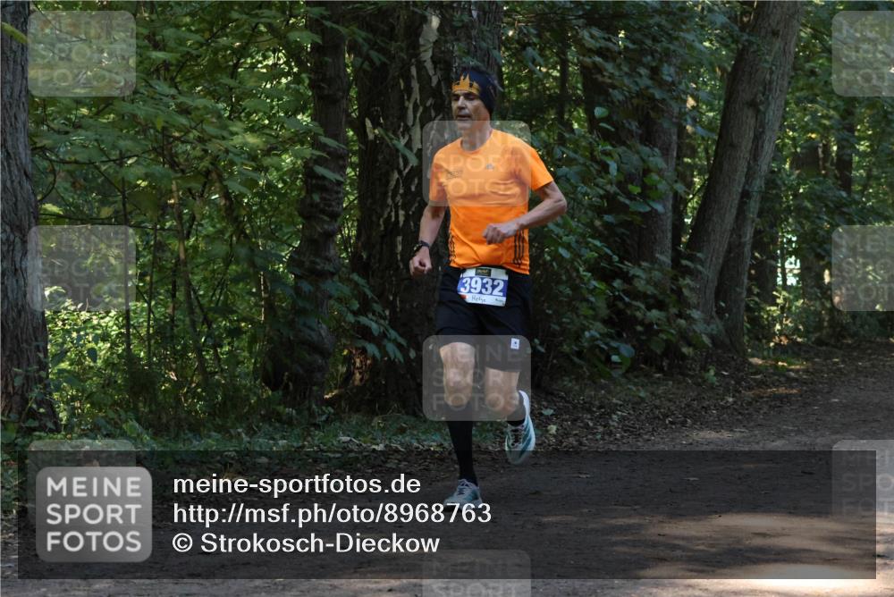 28.09.2025 - 33. Volkslauf durch das schöne Alstertal Strokosch-Dieckow http://msf.ph/oto/8968763 28.09.2025 11:14:49 Laufen 3932 meine-sportfotos.de