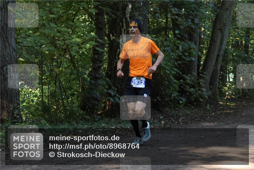 28.09.2025 - 33. Volkslauf durch das schöne Alstertal Strokosch-Dieckow http://msf.ph/oto/8968764 28.09.2025 11:14:49 Laufen 3932 meine-sportfotos.de