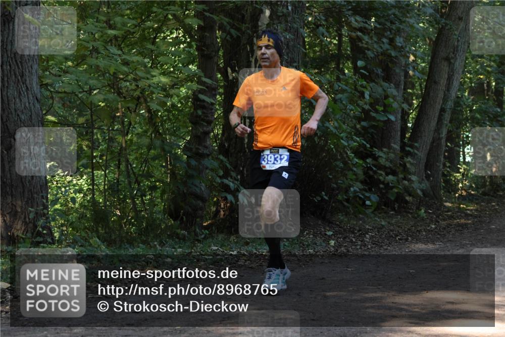 28.09.2025 - 33. Volkslauf durch das schöne Alstertal Strokosch-Dieckow http://msf.ph/oto/8968765 28.09.2025 11:14:49 Laufen 3932 meine-sportfotos.de