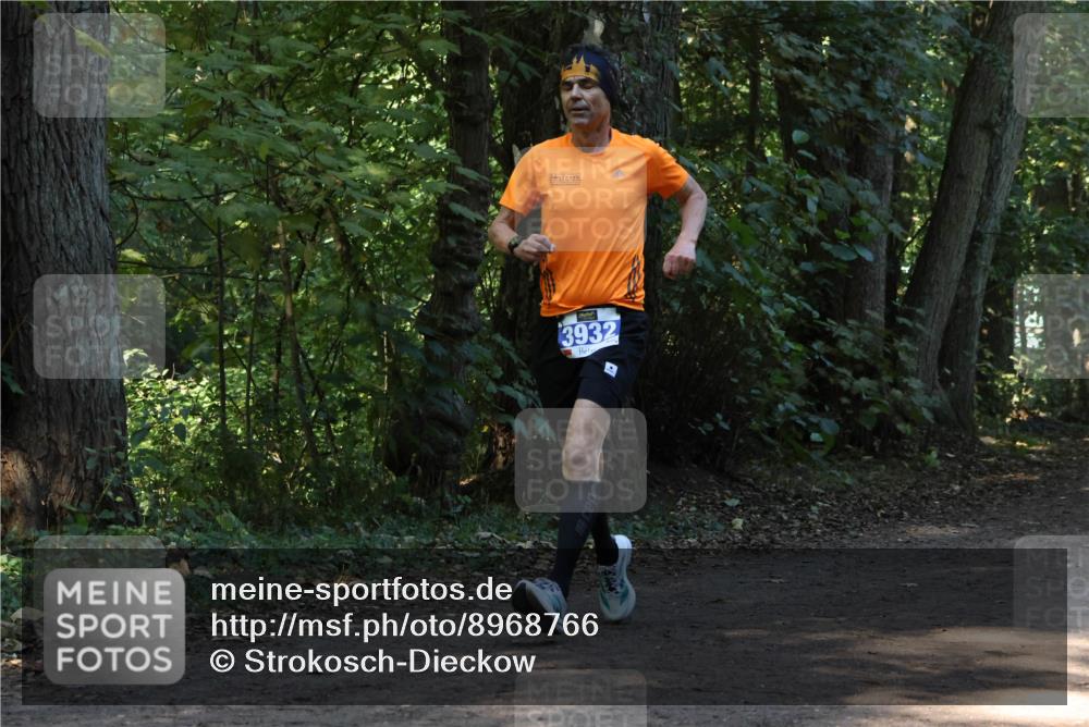 28.09.2025 - 33. Volkslauf durch das schöne Alstertal Strokosch-Dieckow http://msf.ph/oto/8968766 28.09.2025 11:14:49 Laufen 3932 meine-sportfotos.de
