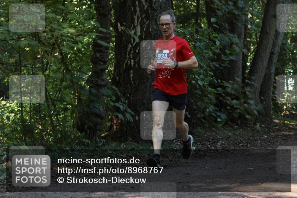 28.09.2025 - 33. Volkslauf durch das schöne Alstertal Strokosch-Dieckow http://msf.ph/oto/8968767 28.09.2025 11:14:58 Laufen 3934 meine-sportfotos.de