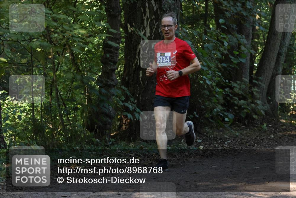 28.09.2025 - 33. Volkslauf durch das schöne Alstertal Strokosch-Dieckow http://msf.ph/oto/8968768 28.09.2025 11:14:58 Laufen 3934 meine-sportfotos.de
