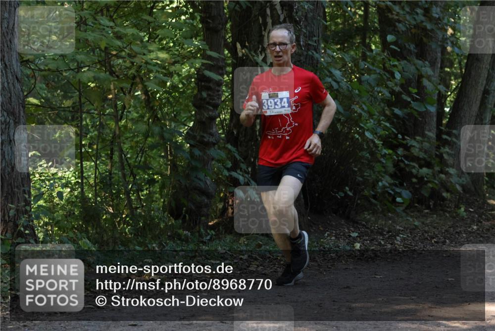28.09.2025 - 33. Volkslauf durch das schöne Alstertal Strokosch-Dieckow http://msf.ph/oto/8968770 28.09.2025 11:14:58 Laufen 3934 meine-sportfotos.de
