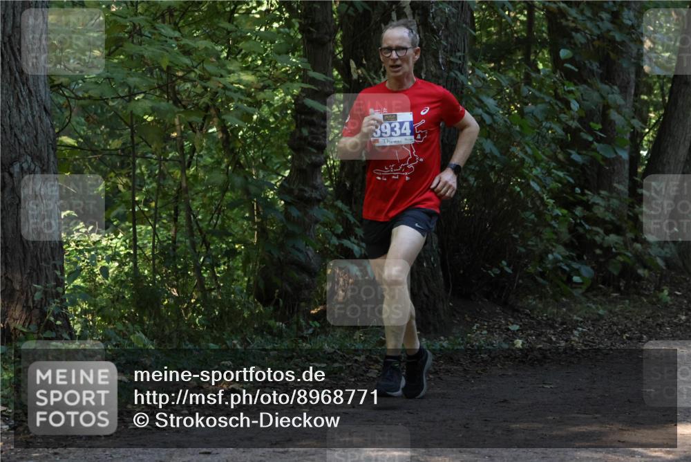 28.09.2025 - 33. Volkslauf durch das schöne Alstertal Strokosch-Dieckow http://msf.ph/oto/8968771 28.09.2025 11:14:59 Laufen 3934 meine-sportfotos.de