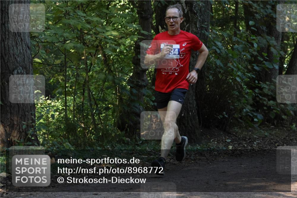 28.09.2025 - 33. Volkslauf durch das schöne Alstertal Strokosch-Dieckow http://msf.ph/oto/8968772 28.09.2025 11:14:59 Laufen 34 meine-sportfotos.de