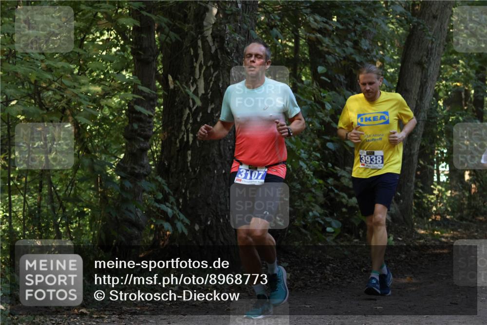 28.09.2025 - 33. Volkslauf durch das schöne Alstertal Strokosch-Dieckow http://msf.ph/oto/8968773 28.09.2025 11:15:51 Laufen 3107, 3938 meine-sportfotos.de