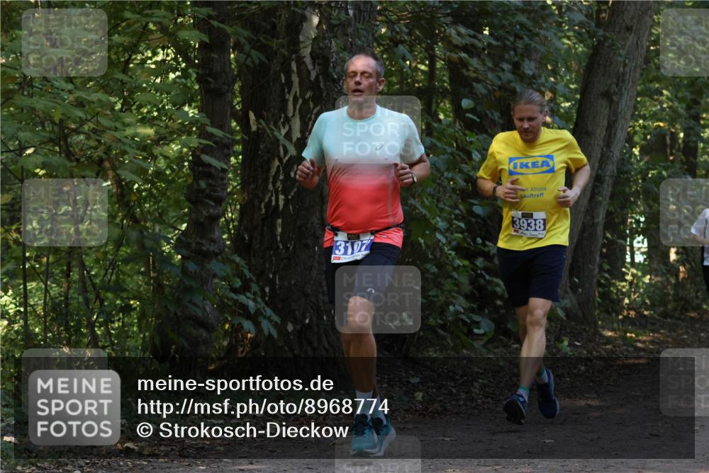 28.09.2025 - 33. Volkslauf durch das schöne Alstertal Strokosch-Dieckow http://msf.ph/oto/8968774 28.09.2025 11:15:51 Laufen 3107, 3938 meine-sportfotos.de