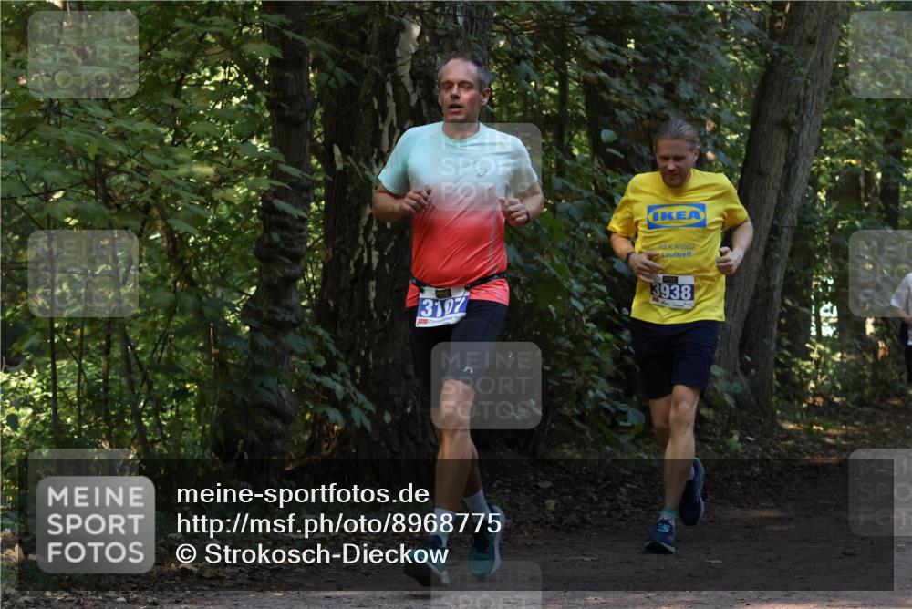28.09.2025 - 33. Volkslauf durch das schöne Alstertal Strokosch-Dieckow http://msf.ph/oto/8968775 28.09.2025 11:15:51 Laufen 3107, 3938, 3 meine-sportfotos.de