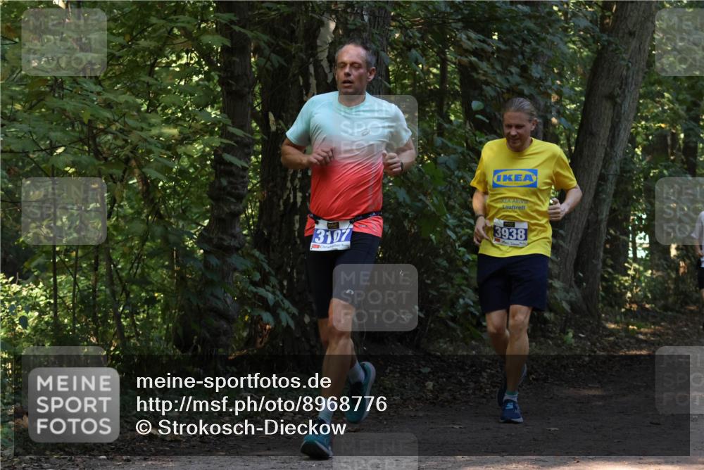 28.09.2025 - 33. Volkslauf durch das schöne Alstertal Strokosch-Dieckow http://msf.ph/oto/8968776 28.09.2025 11:15:51 Laufen 3107, 3938, 3 meine-sportfotos.de