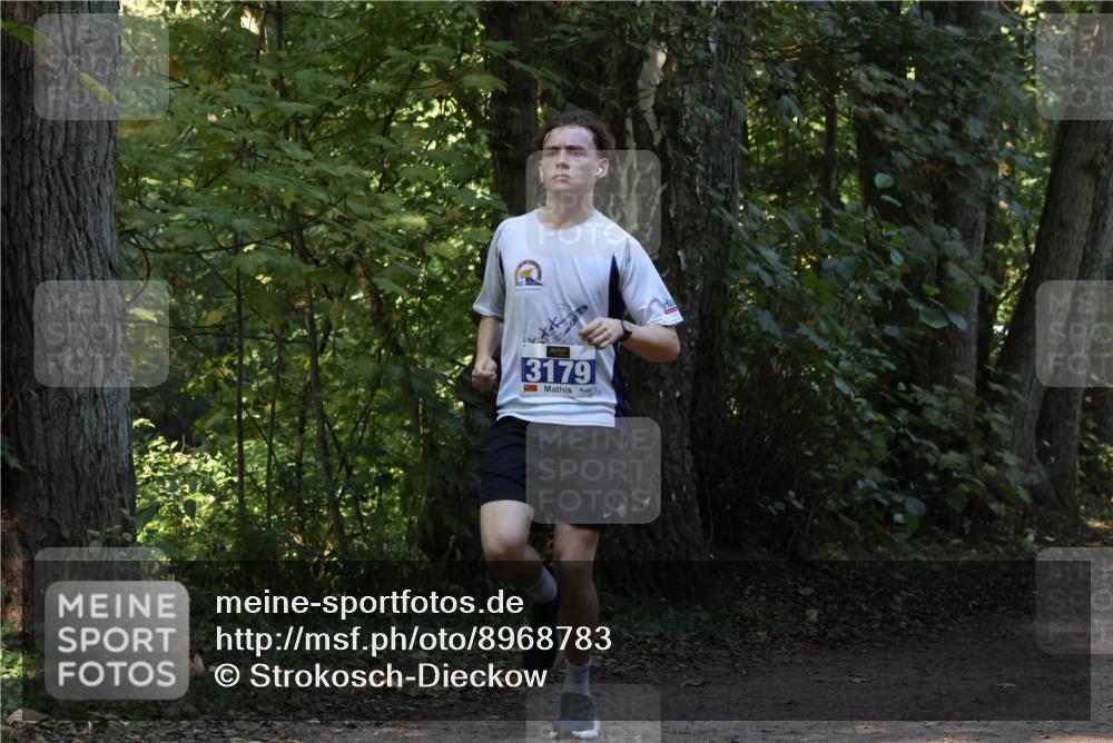 28.09.2025 - 33. Volkslauf durch das schöne Alstertal Strokosch-Dieckow http://msf.ph/oto/8968783 28.09.2025 11:15:56 Laufen 3179, 00 meine-sportfotos.de
