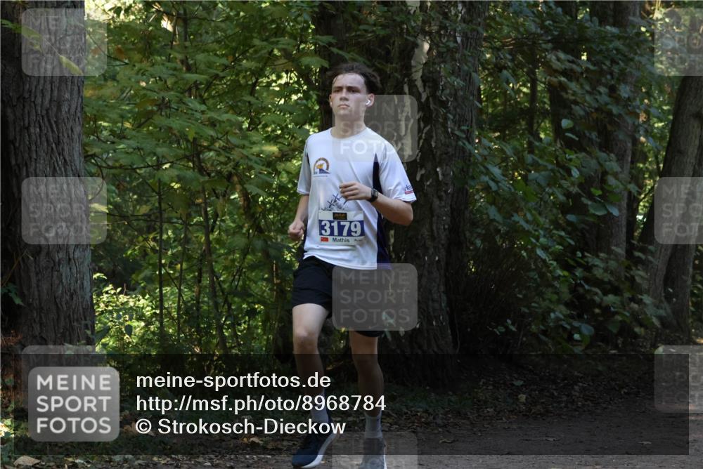 28.09.2025 - 33. Volkslauf durch das schöne Alstertal Strokosch-Dieckow http://msf.ph/oto/8968784 28.09.2025 11:15:56 Laufen 3179 meine-sportfotos.de