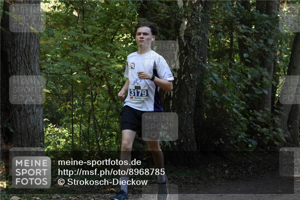 28.09.2025 - 33. Volkslauf durch das schöne Alstertal Strokosch-Dieckow http://msf.ph/oto/8968785 28.09.2025 11:15:56 Laufen 3179 meine-sportfotos.de