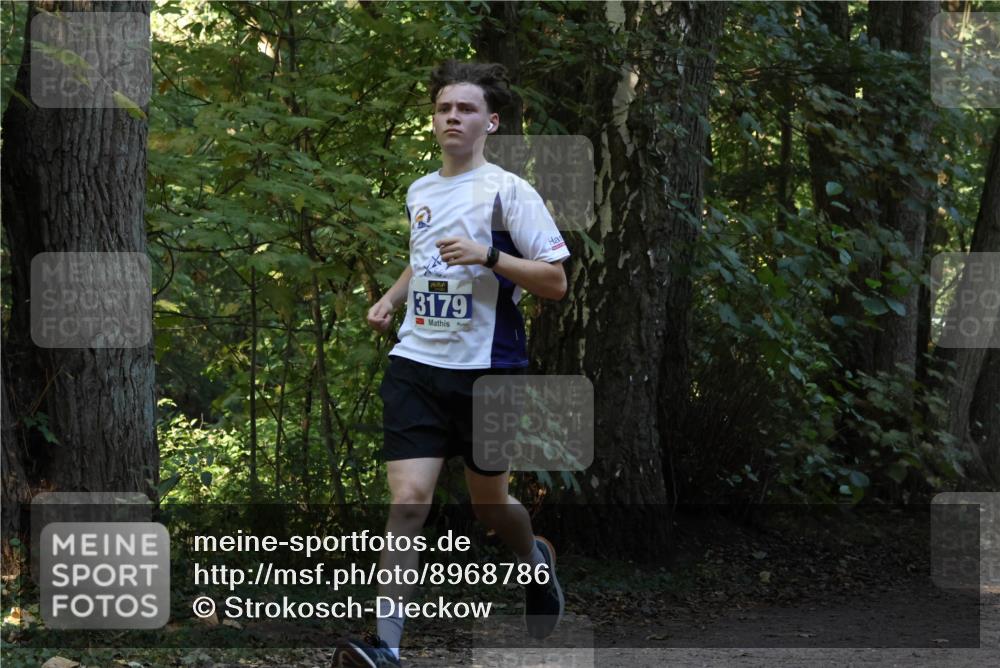 28.09.2025 - 33. Volkslauf durch das schöne Alstertal Strokosch-Dieckow http://msf.ph/oto/8968786 28.09.2025 11:15:56 Laufen 3179 meine-sportfotos.de