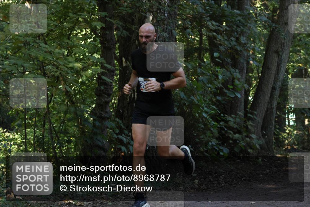 28.09.2025 - 33. Volkslauf durch das schöne Alstertal Strokosch-Dieckow http://msf.ph/oto/8968787 28.09.2025 11:15:58 Laufen  meine-sportfotos.de