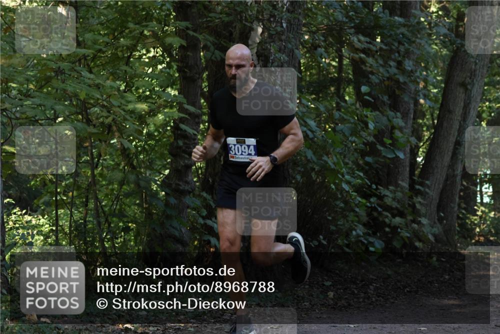 28.09.2025 - 33. Volkslauf durch das schöne Alstertal Strokosch-Dieckow http://msf.ph/oto/8968788 28.09.2025 11:15:59 Laufen 3094 meine-sportfotos.de