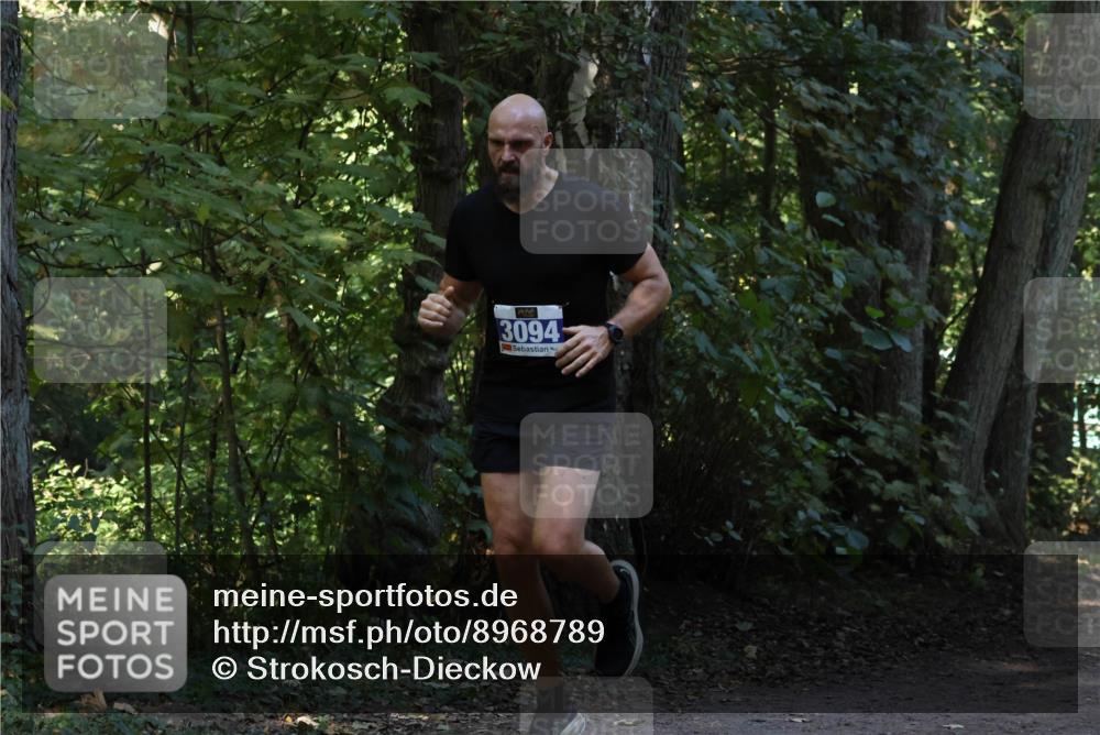 28.09.2025 - 33. Volkslauf durch das schöne Alstertal Strokosch-Dieckow http://msf.ph/oto/8968789 28.09.2025 11:15:59 Laufen 3094 meine-sportfotos.de