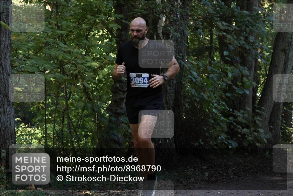 28.09.2025 - 33. Volkslauf durch das schöne Alstertal Strokosch-Dieckow http://msf.ph/oto/8968790 28.09.2025 11:15:59 Laufen 3094 meine-sportfotos.de