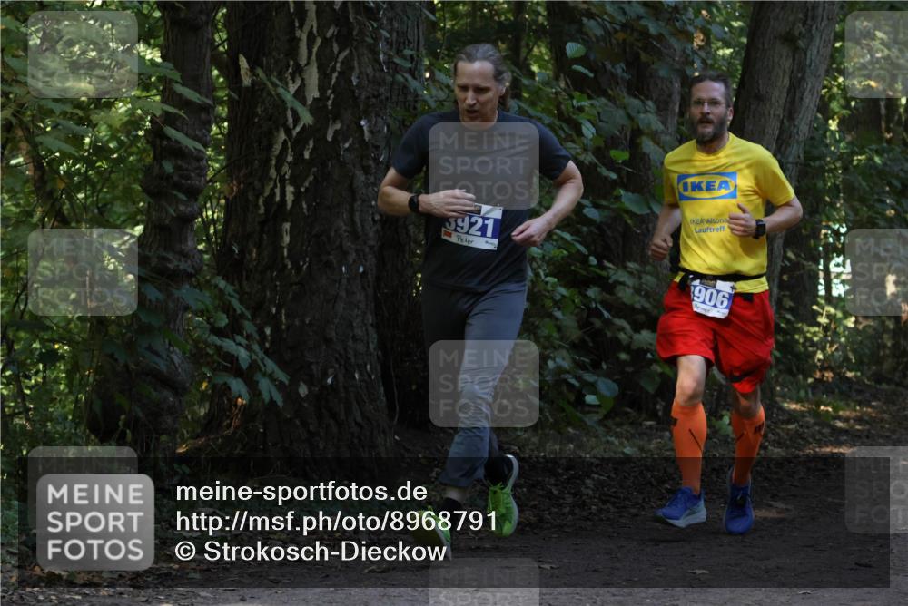 28.09.2025 - 33. Volkslauf durch das schöne Alstertal Strokosch-Dieckow http://msf.ph/oto/8968791 28.09.2025 11:16:08 Laufen 3921, 906 meine-sportfotos.de