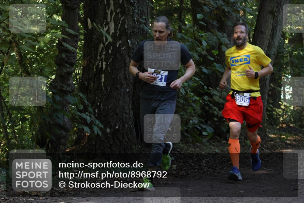 28.09.2025 - 33. Volkslauf durch das schöne Alstertal Strokosch-Dieckow http://msf.ph/oto/8968792 28.09.2025 11:16:08 Laufen 21, 3906 meine-sportfotos.de