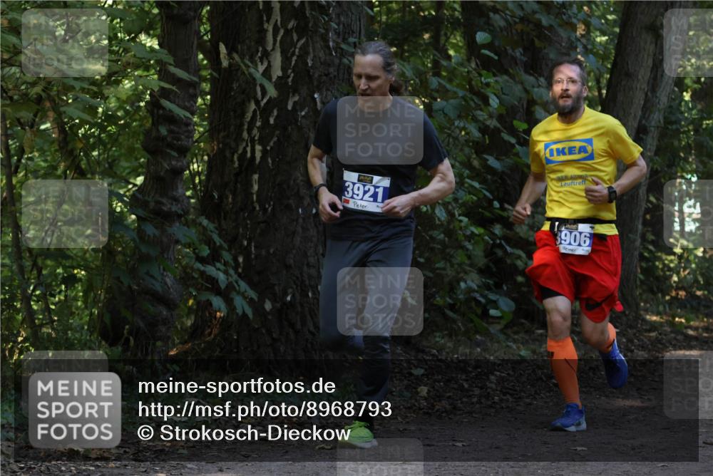 28.09.2025 - 33. Volkslauf durch das schöne Alstertal Strokosch-Dieckow http://msf.ph/oto/8968793 28.09.2025 11:16:08 Laufen 3921, 906 meine-sportfotos.de