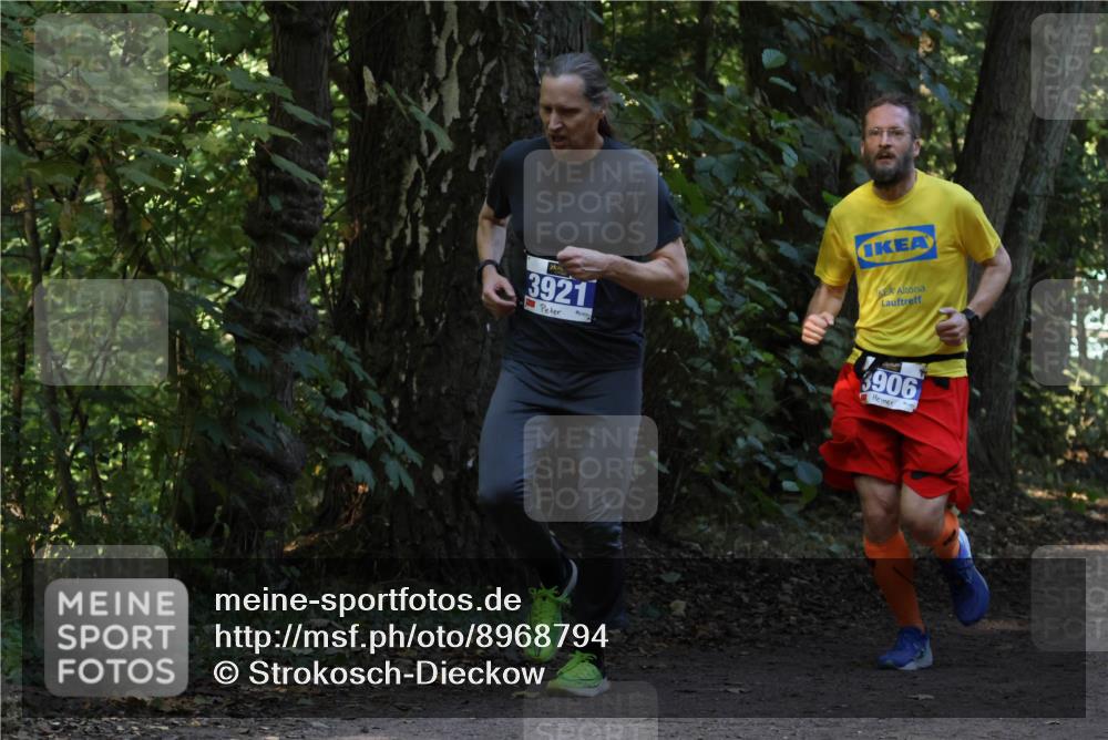 28.09.2025 - 33. Volkslauf durch das schöne Alstertal Strokosch-Dieckow http://msf.ph/oto/8968794 28.09.2025 11:16:08 Laufen 3921, 3906 meine-sportfotos.de