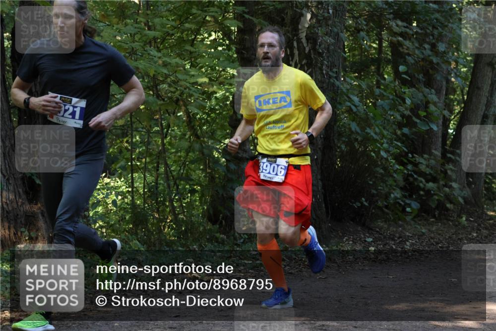 28.09.2025 - 33. Volkslauf durch das schöne Alstertal Strokosch-Dieckow http://msf.ph/oto/8968795 28.09.2025 11:16:09 Laufen 921, 3906 meine-sportfotos.de