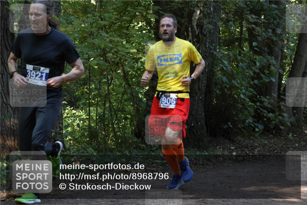 28.09.2025 - 33. Volkslauf durch das schöne Alstertal Strokosch-Dieckow http://msf.ph/oto/8968796 28.09.2025 11:16:09 Laufen 3921, 3906 meine-sportfotos.de