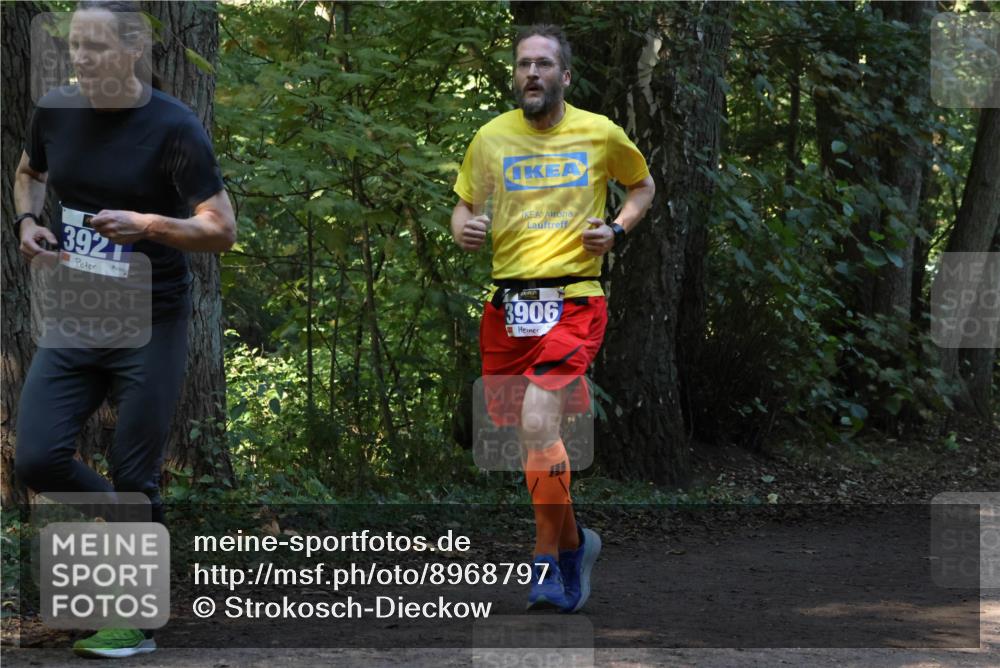 28.09.2025 - 33. Volkslauf durch das schöne Alstertal Strokosch-Dieckow http://msf.ph/oto/8968797 28.09.2025 11:16:10 Laufen 392, 3906 meine-sportfotos.de