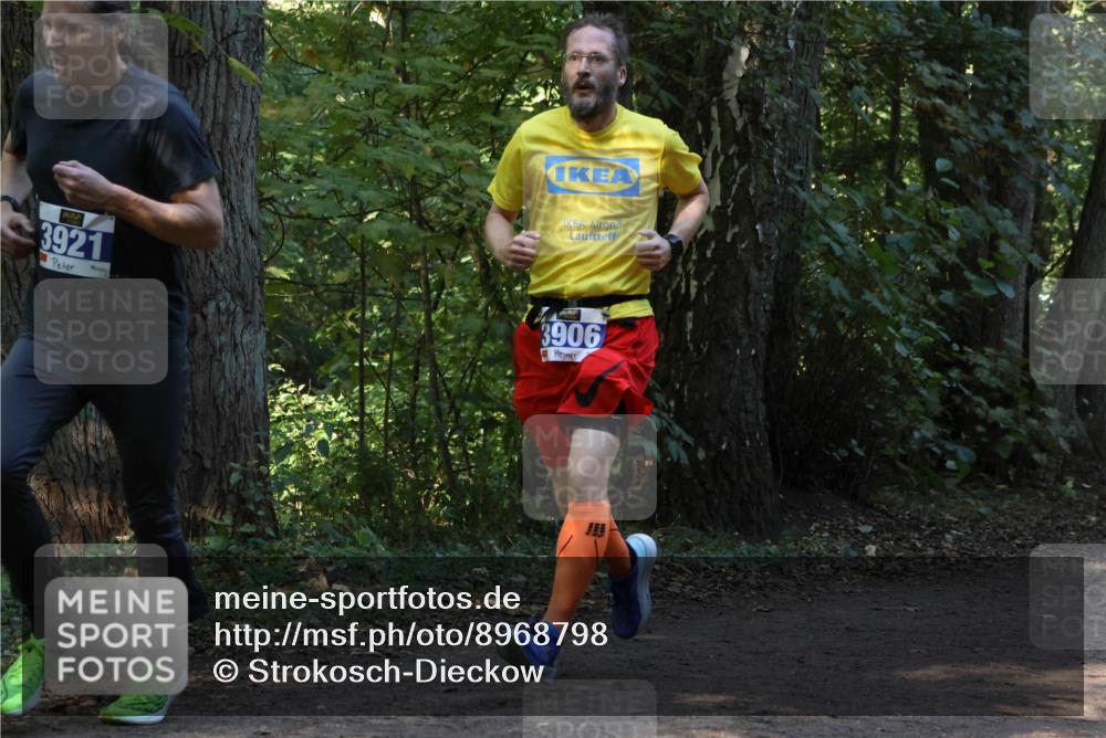 28.09.2025 - 33. Volkslauf durch das schöne Alstertal Strokosch-Dieckow http://msf.ph/oto/8968798 28.09.2025 11:16:10 Laufen 3921, 3906 meine-sportfotos.de