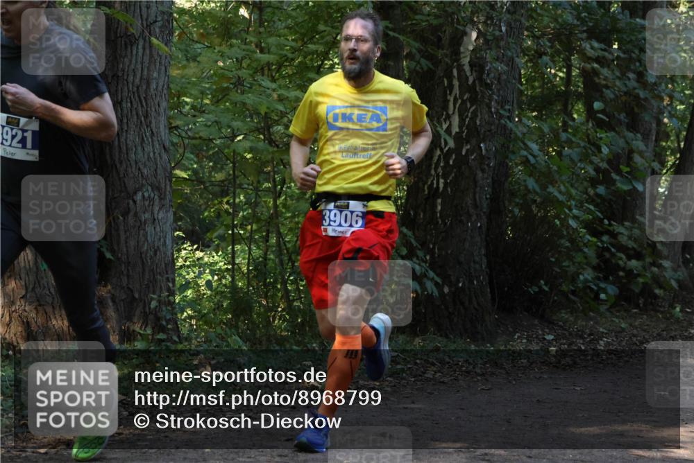28.09.2025 - 33. Volkslauf durch das schöne Alstertal Strokosch-Dieckow http://msf.ph/oto/8968799 28.09.2025 11:16:10 Laufen 921, 3906 meine-sportfotos.de