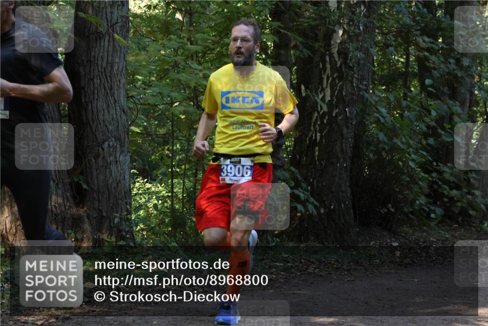 28.09.2025 - 33. Volkslauf durch das schöne Alstertal Strokosch-Dieckow http://msf.ph/oto/8968800 28.09.2025 11:16:10 Laufen 3906 meine-sportfotos.de