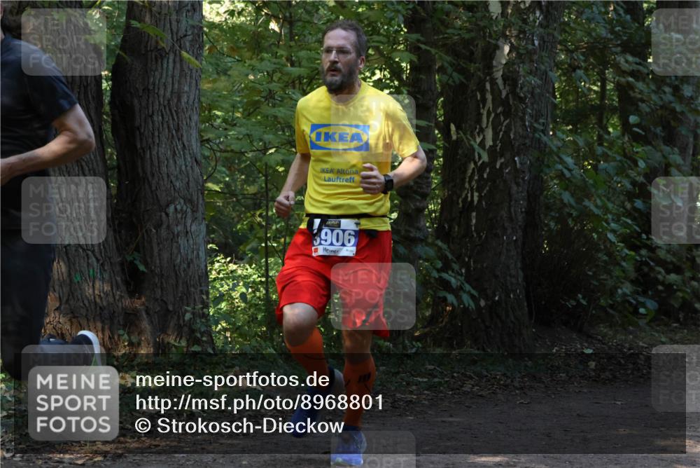 28.09.2025 - 33. Volkslauf durch das schöne Alstertal Strokosch-Dieckow http://msf.ph/oto/8968801 28.09.2025 11:16:10 Laufen 3906 meine-sportfotos.de