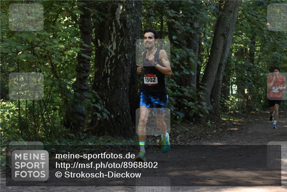 28.09.2025 - 33. Volkslauf durch das schöne Alstertal Strokosch-Dieckow http://msf.ph/oto/8968802 28.09.2025 11:16:24 Laufen 1502 meine-sportfotos.de