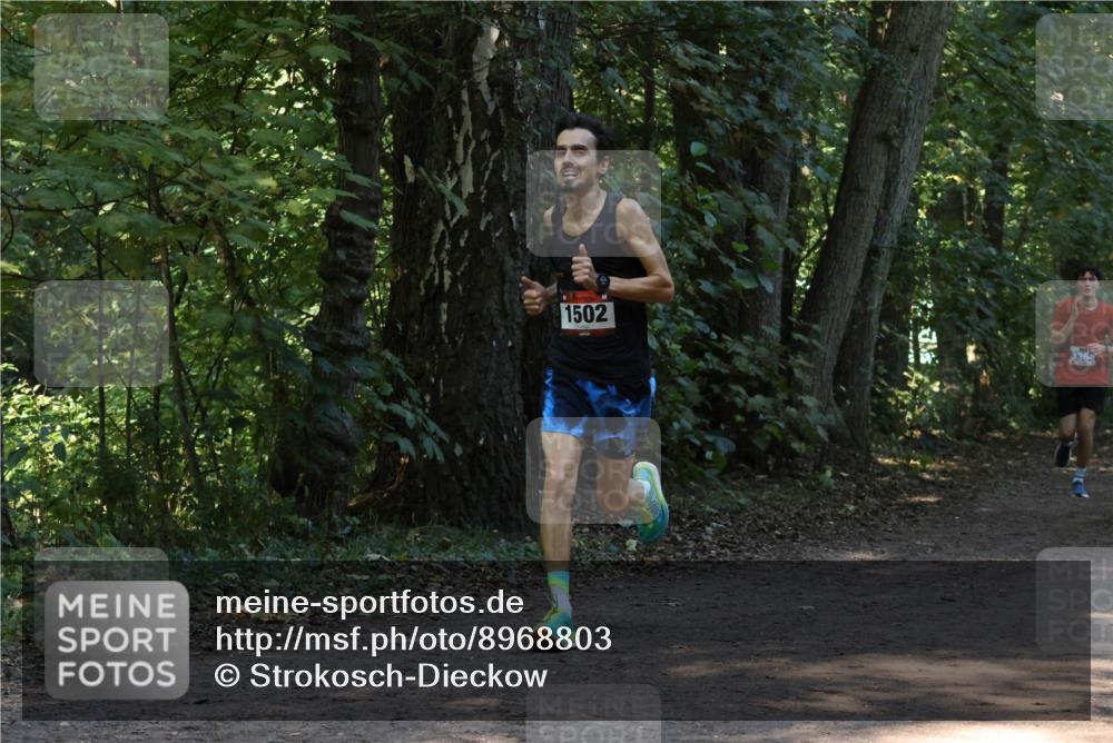 28.09.2025 - 33. Volkslauf durch das schöne Alstertal Strokosch-Dieckow http://msf.ph/oto/8968803 28.09.2025 11:16:24 Laufen 1502, 7, 3364 meine-sportfotos.de