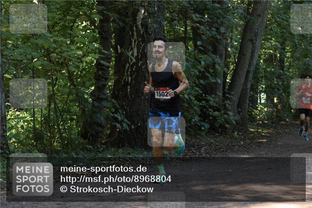 28.09.2025 - 33. Volkslauf durch das schöne Alstertal Strokosch-Dieckow http://msf.ph/oto/8968804 28.09.2025 11:16:24 Laufen 1502, 3364 meine-sportfotos.de