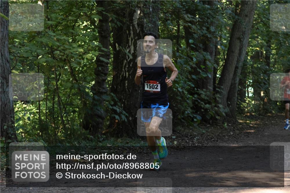 28.09.2025 - 33. Volkslauf durch das schöne Alstertal Strokosch-Dieckow http://msf.ph/oto/8968805 28.09.2025 11:16:24 Laufen 1502 meine-sportfotos.de